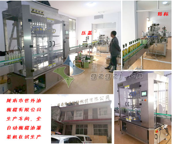 隴南世外橄欖油灌裝機生產(chǎn)線車間